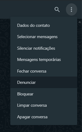 captura de tela 2025 01 13 100329