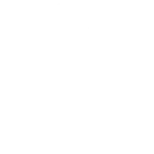 face detection